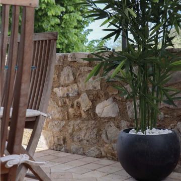 Bacs à fleurs - Collection Raindrop | Florabora Home