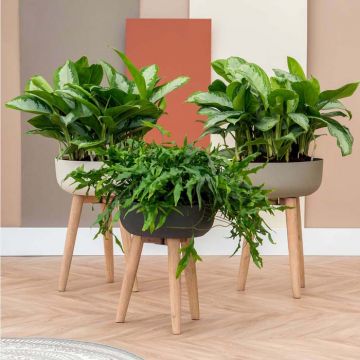 Bacs à fleurs - Collection Refined Retro | Florabora Home