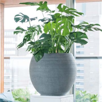 Bacs à fleurs - Collection Ridged | Florabora Home