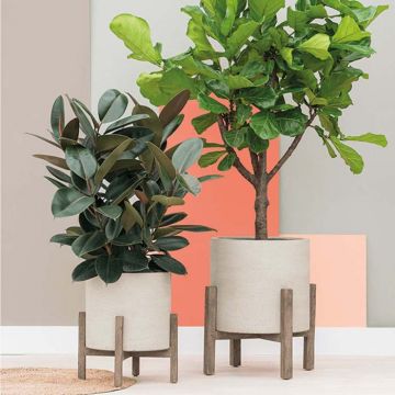 Bacs à fleurs - Collection Cement | Florabora Home