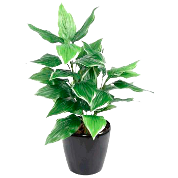 Plantes artificielles intérieur – Déco Maison l Florabora Home