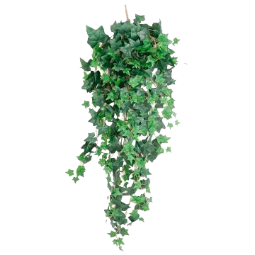 Plantes tombantes artificielles – Déco Maison l Florabora Home