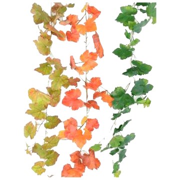 Guirlandes artificielles – Déco Maison | Florabora Home