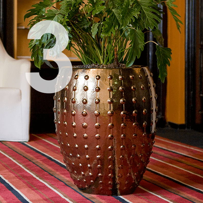 bac_a_plante_moderne