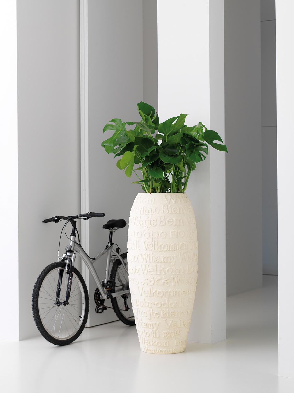 bacs haut de gamme welcome