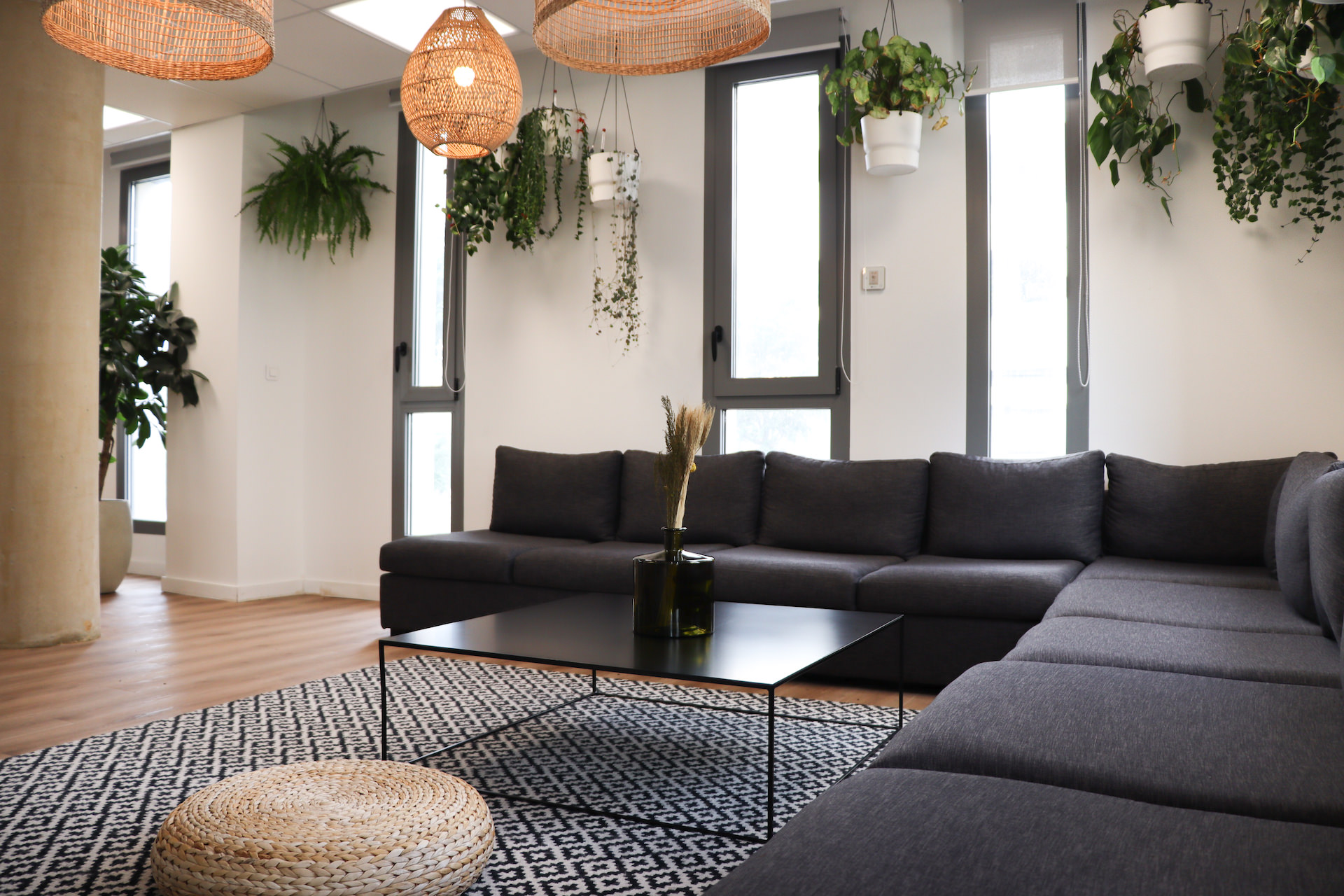 creation-vegetales-pots-deco-entreprise