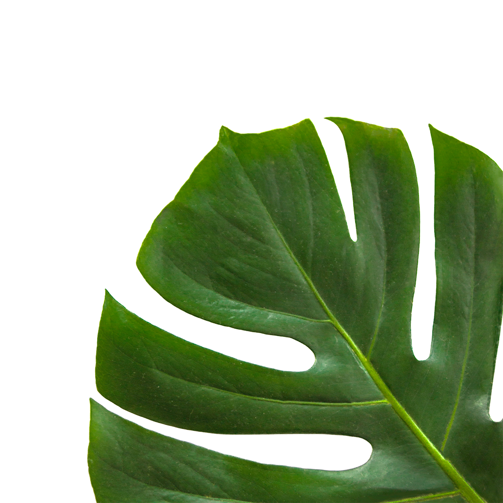 nos-engagements-florabora-home