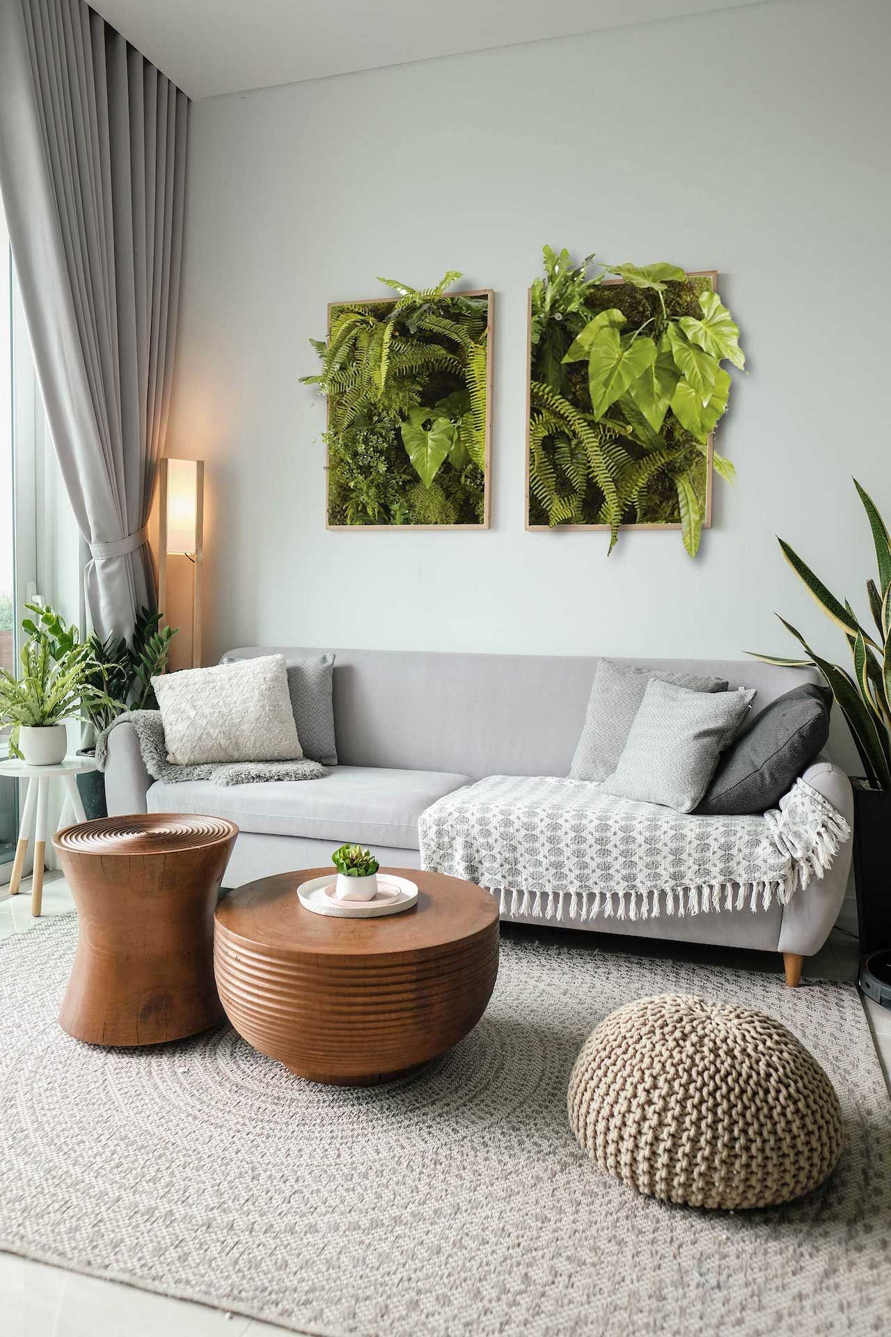 Le concept végétal