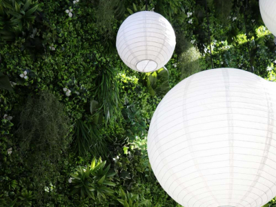 6 raisons d'avoir un mur végétal chez soi