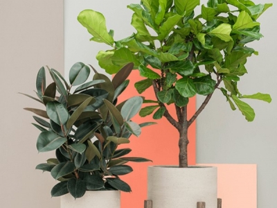 Pourquoi choisir des plantes artificielles ?