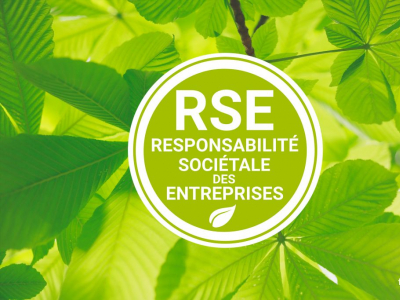 Les plantes artificielles et l'écologie ?