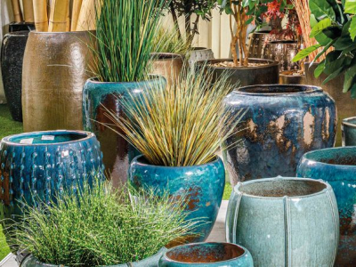 Les offres Florabora !