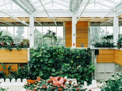 Mur végétal intérieur : artificielle ou stabilisé ?