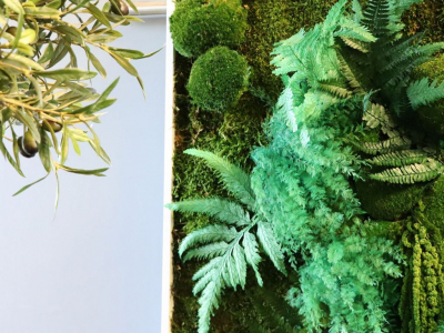 Tuto : Comment créer son propre mur végétal stabilisée ?