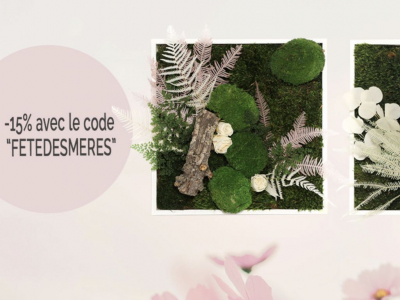 Le tableau végétal stabilisé, le cadeau idéal pour la fête des mères !